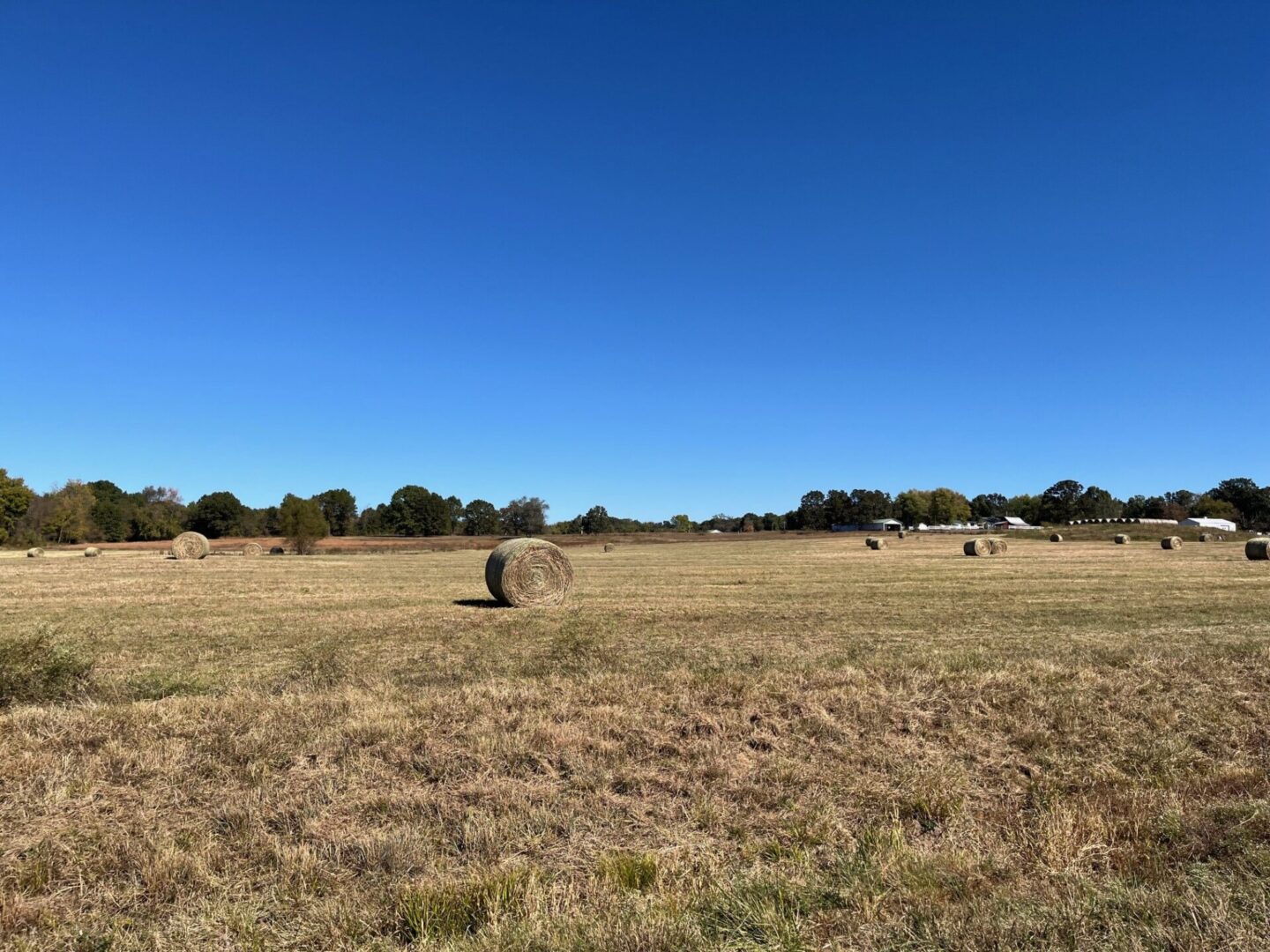 A field with hay bales in the middle of it.