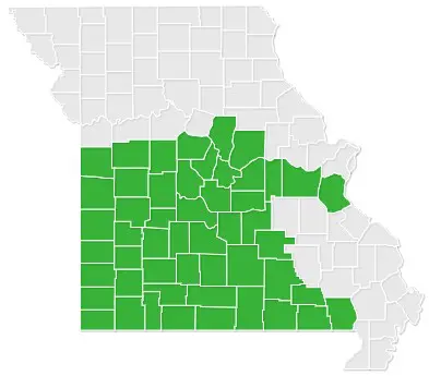 671f883cd5e02_Missouri County Map