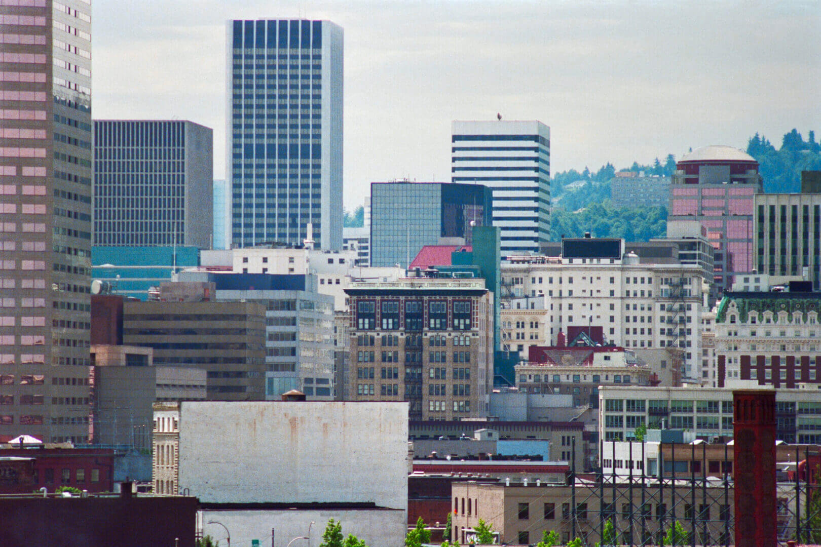 A city skyline with many buildings and trees.